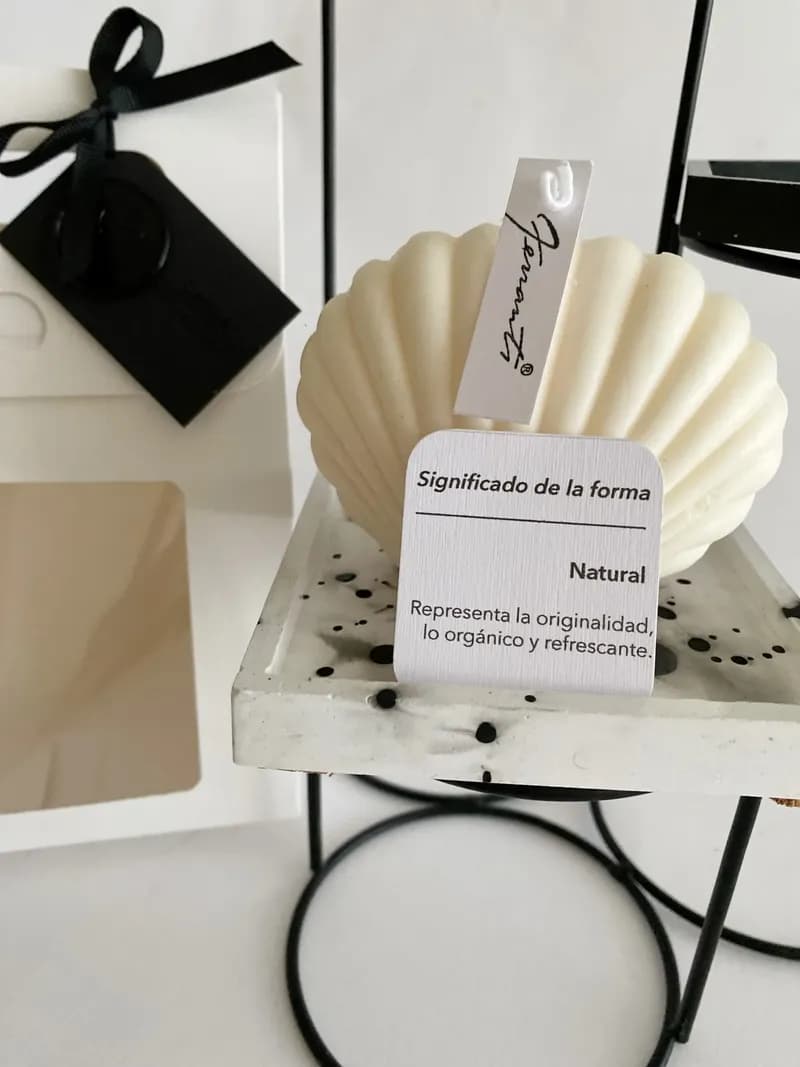 Seashell sail