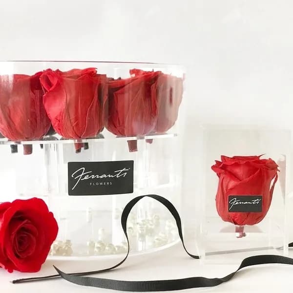 Red roses in transparent boxes
