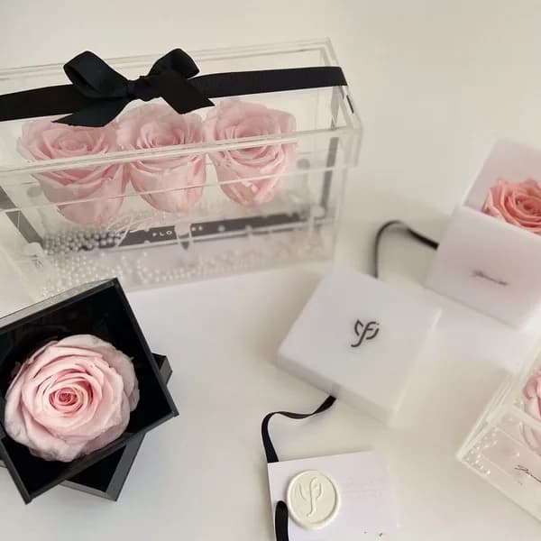 Rose Cute roses in transparent boxes