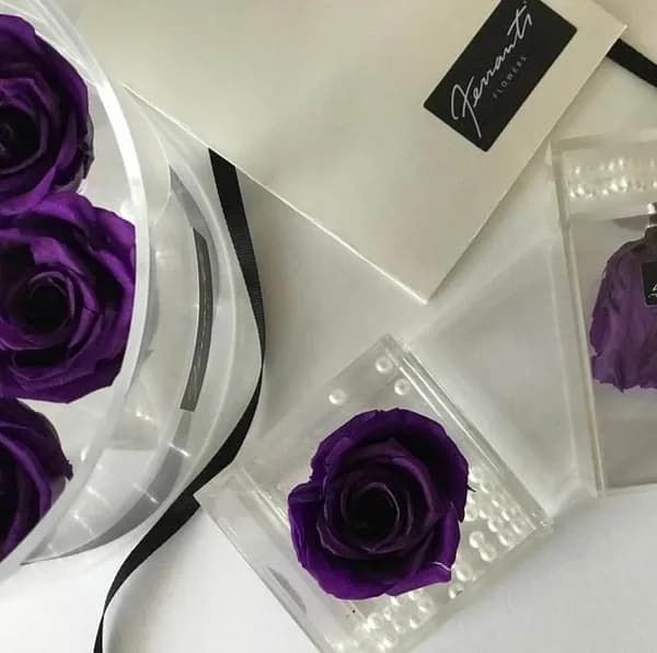 Purple roses in transparent boxes