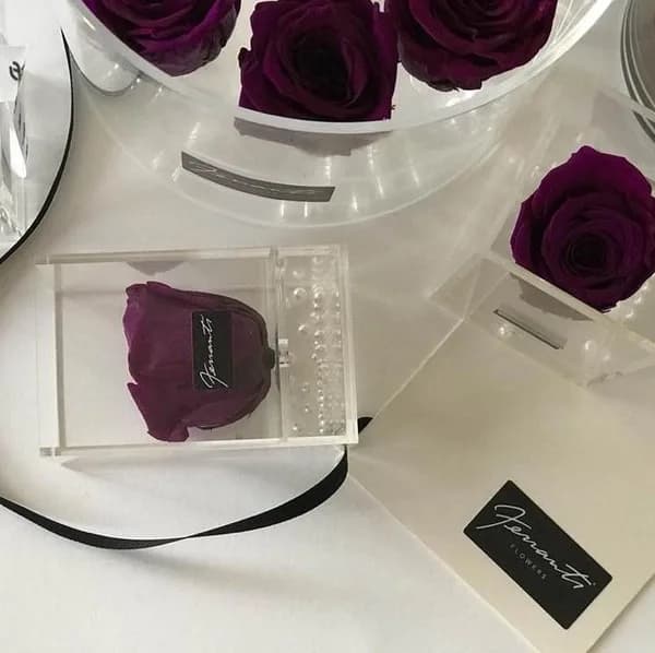 Violet roses in transparent boxes
