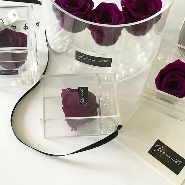 Magenta roses inside transparent boxes