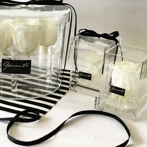 White roses inside transparent boxes
