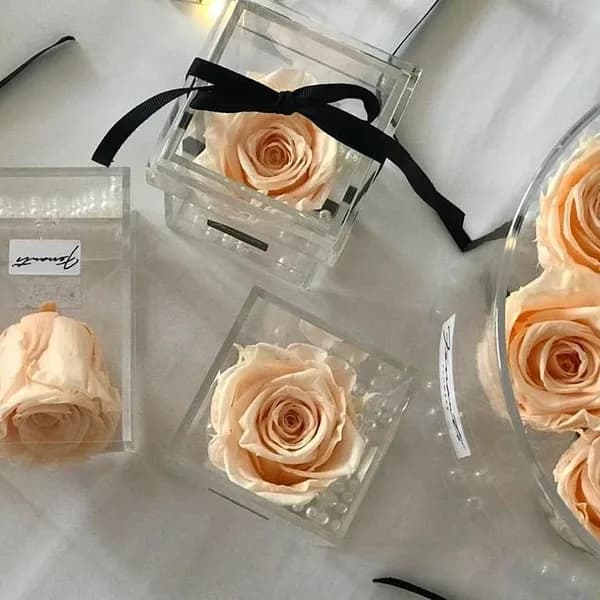 Champagne-colored roses in transparent boxes
