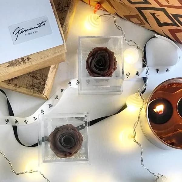 Chocolate-colored roses in transparent boxes