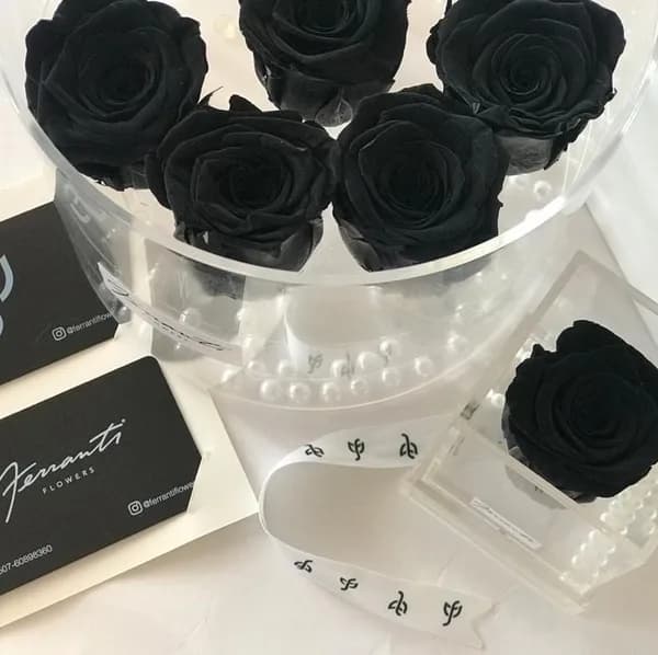 Fresh black roses in a transparent box
