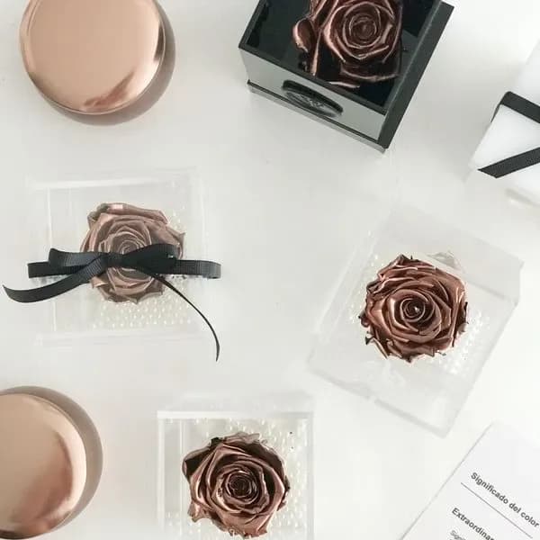 Metallic pink roses inside transparent boxes