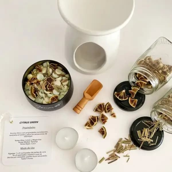 Kit Wax Melts Citrus Green