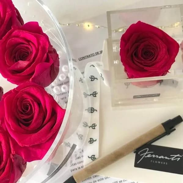 Fashion Pink roses inside transparent boxes