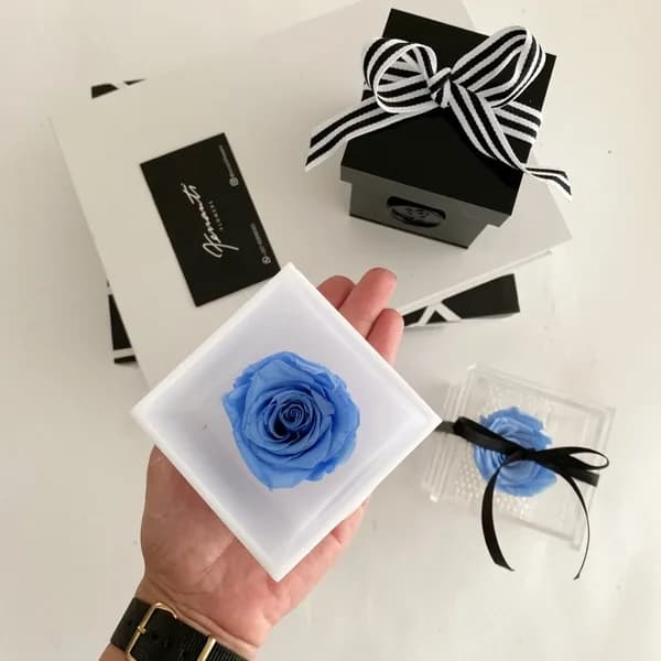 Baby Blue roses in transparent boxes