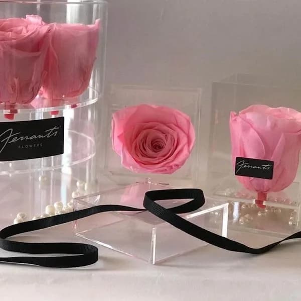 Barbie pink roses inside transparent boxes