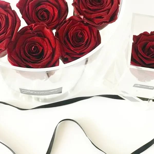 Red passion roses in transparent boxes
