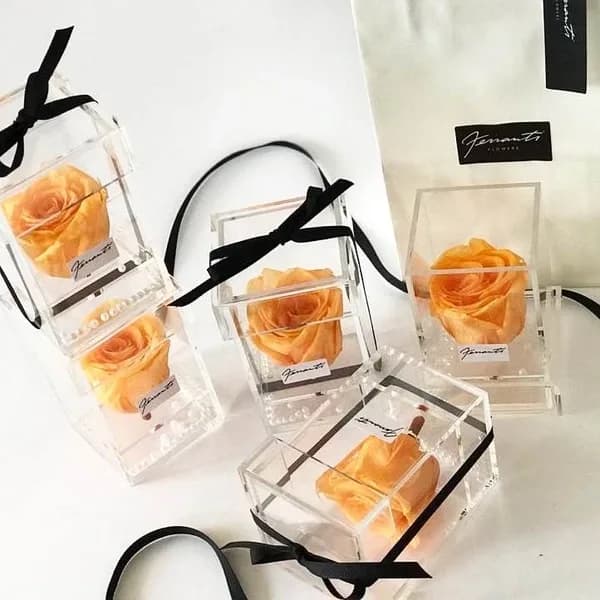 Orange roses inside transparent boxes