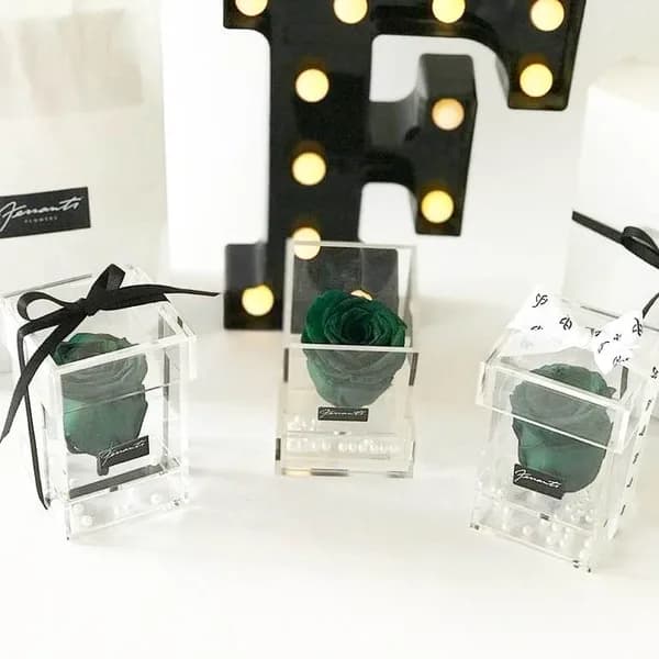 Green roses inside transparent boxes