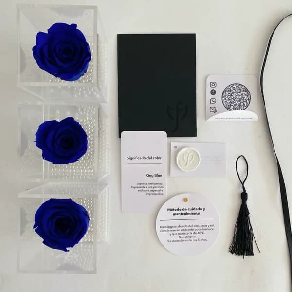 King blue roses in transparent boxes