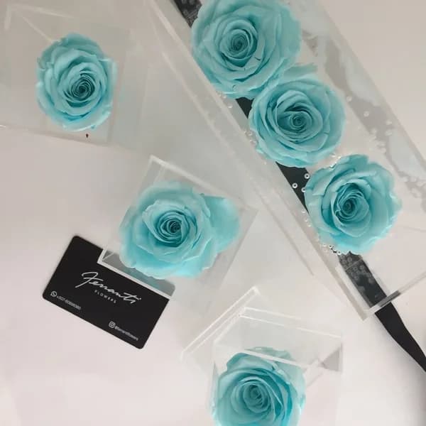 Turquoise roses in transparent boxes