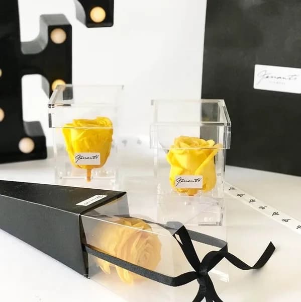 Yellow roses inside transparent boxes