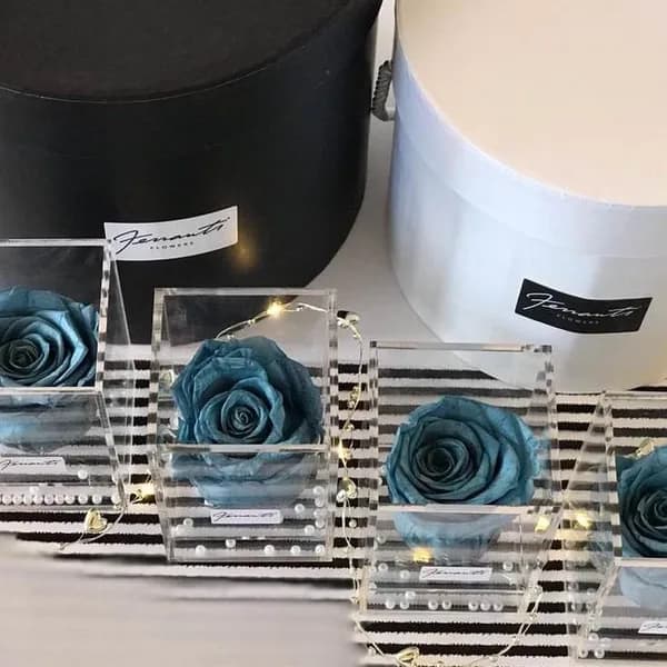 Prince blue roses in transparent boxes