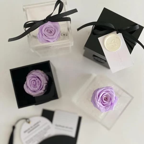 Lavender roses inside transparent boxes