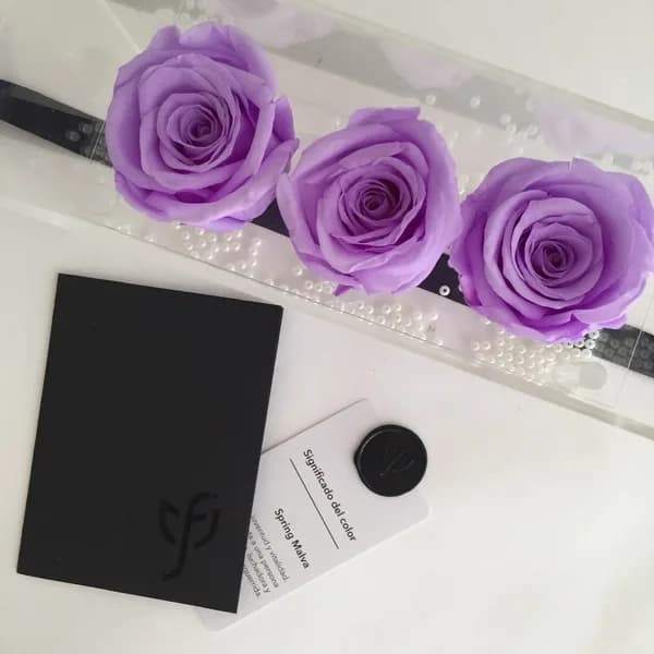 Light purple roses in transparent boxes