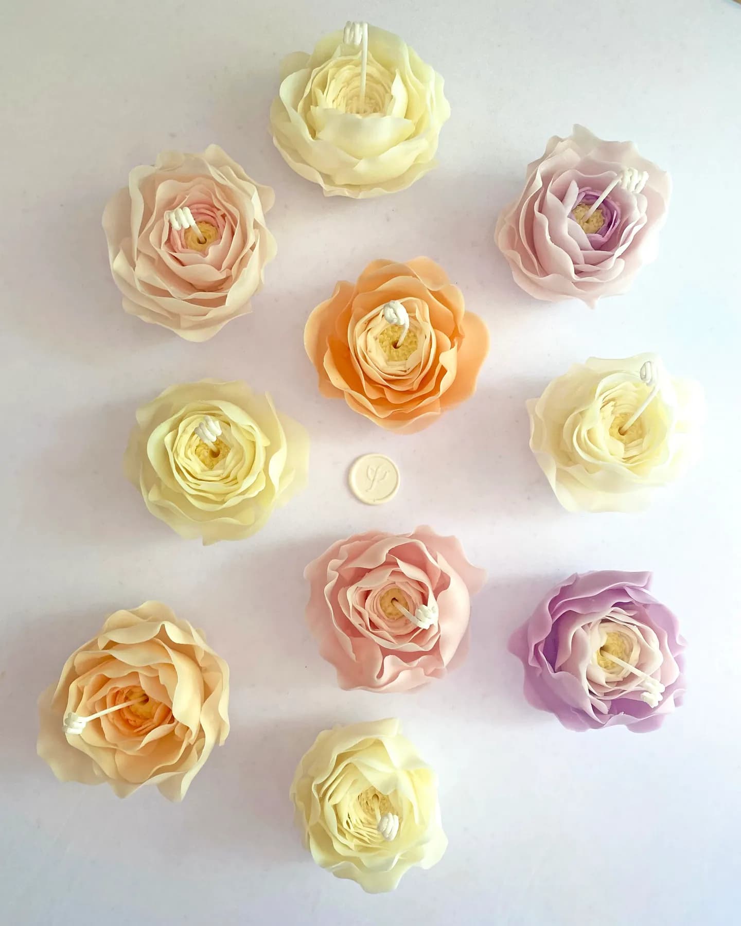 Carla Collection