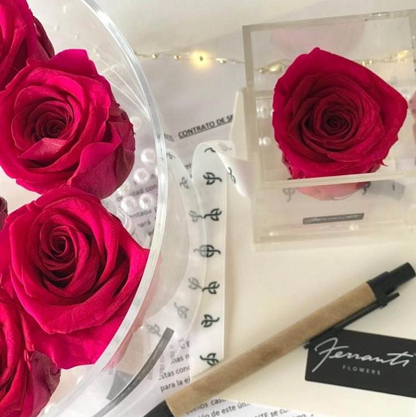 Fashion Pink roses inside transparent boxes