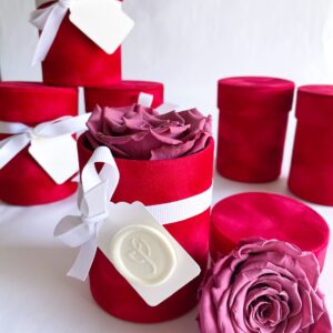 Dusty Rose
