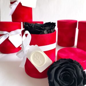 The Eternal Single Rose in a Velvet Hat Box